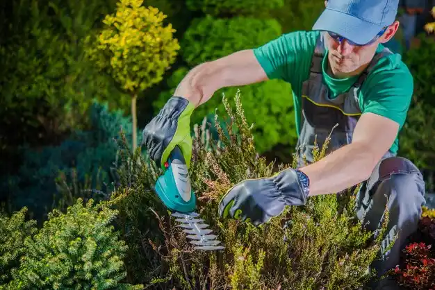 landscaping services Lake Ozark